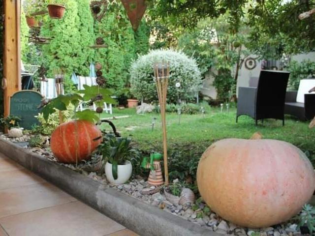 Pansion Stones